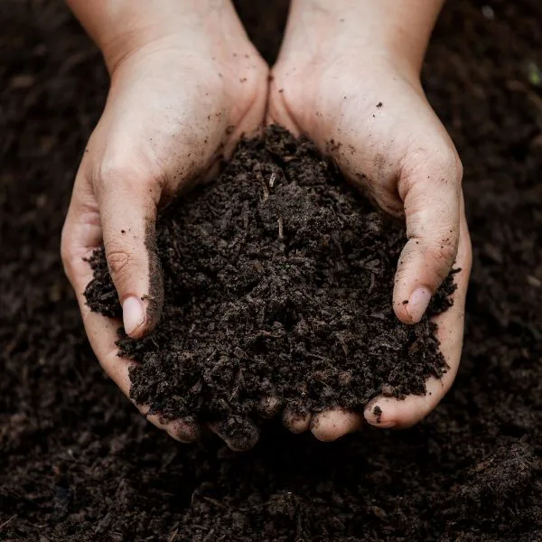 Soil Structure: A Guide to Boosting Garden Health