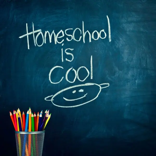 A Guide to Secular Homeschool Curriculum