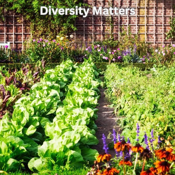 regenerative gardening with diversity image