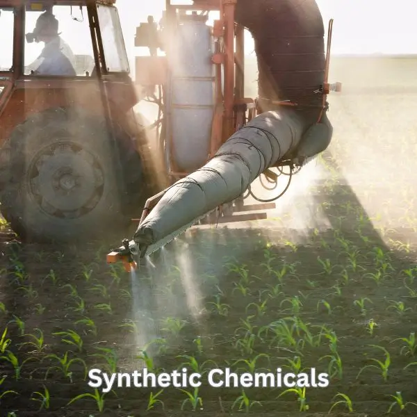 synthetic chemicals image