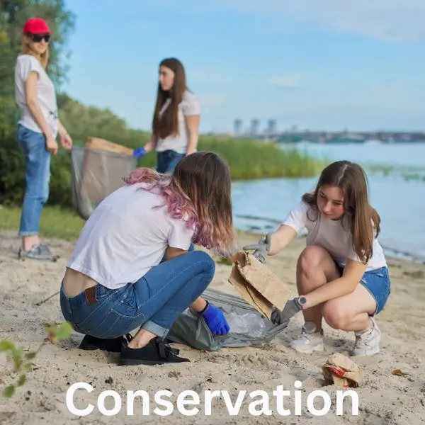 homeschool teen conservation project image