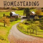 Group Profile photo of Homesteading – General Discussion